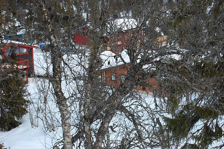 vemdalen 020.jpg - genom trd om man inte r frsiktig